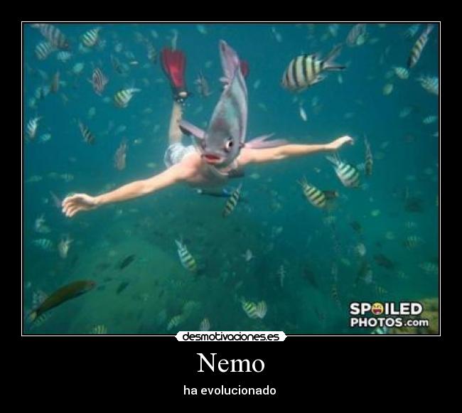 Nemo -