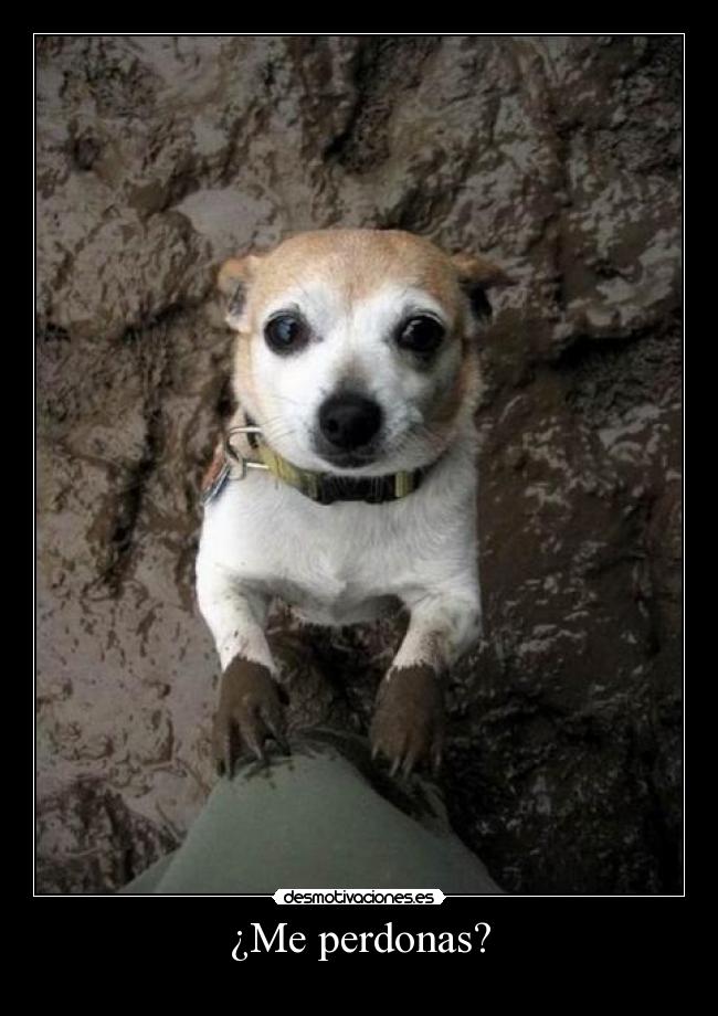 ¿Me perdonas? -