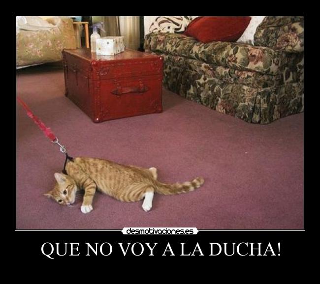 QUE NO VOY A LA DUCHA! -