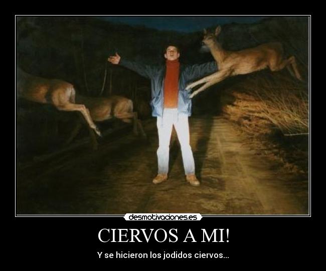CIERVOS A MI! -