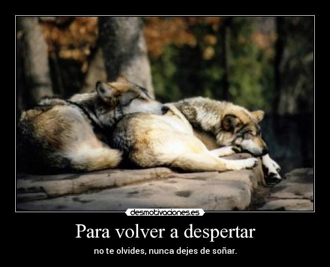 Para volver a despertar - 