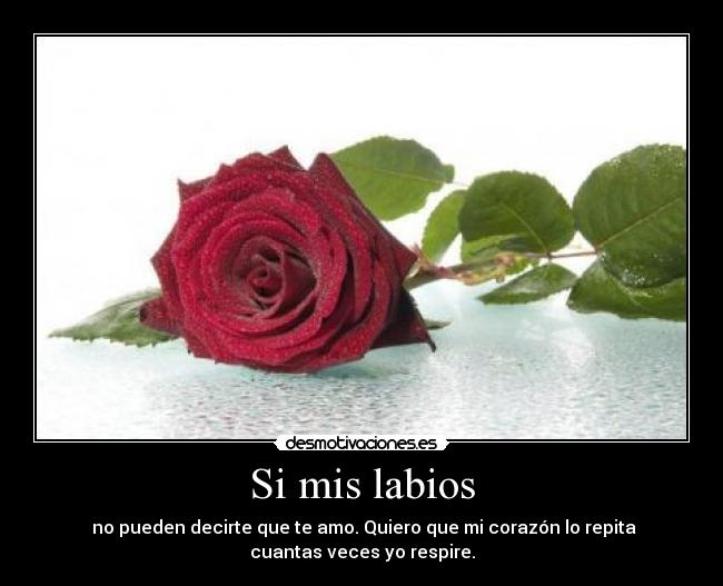 carteles mis labios desmotivaciones