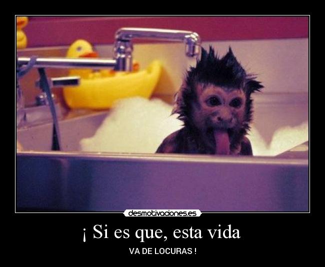 ¡ Si es que, esta vida - VA DE LOCURAS !