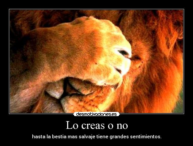 Lo creas o no - hasta la bestia mas salvaje tiene grandes sentimientos.