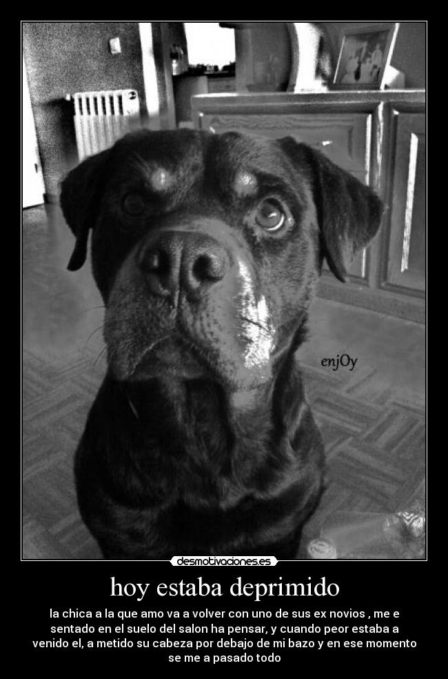 hoy estaba deprimido - la chica a la que amo va a volver con uno de sus ex novios , me e
sentado en el suelo del salon ha pensar, y cuando peor estaba a
venido el, a metido su cabeza por debajo de mi bazo y en ese momento
se me a pasado todo