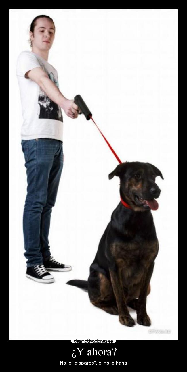 ¿Y ahora? - No le dispares, él no lo haria