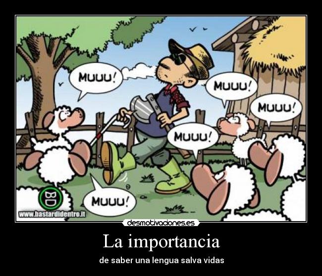 La importancia - de saber una lengua salva vidas