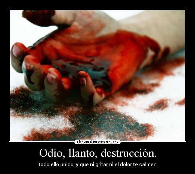 Odio, llanto, destrucción. -
