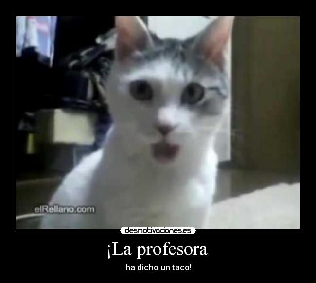 ¡La profesora  - 