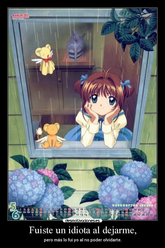 Fuiste un idiota al dejarme, - 