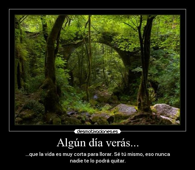 Algún día verás... -