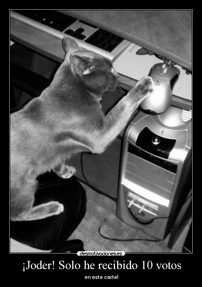 ¡Joder! Solo he recibido 10 votos - 