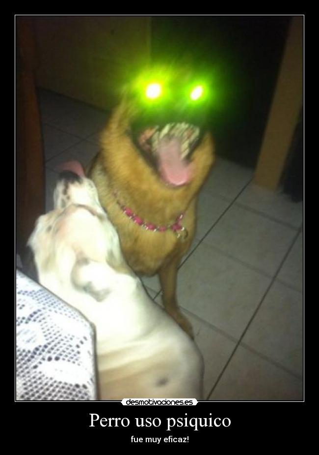 Perro uso psiquico - fue muy eficaz!