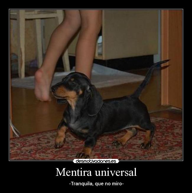 Mentira universal - -Tranquila, que no miro-
