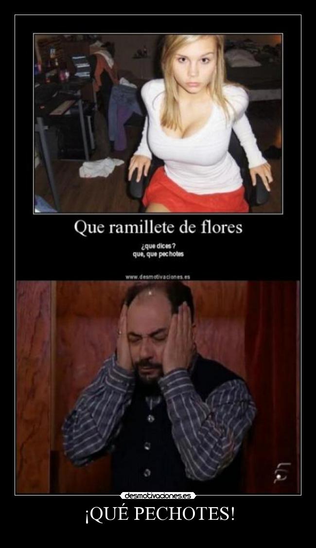 ¡QUÉ PECHOTES! -