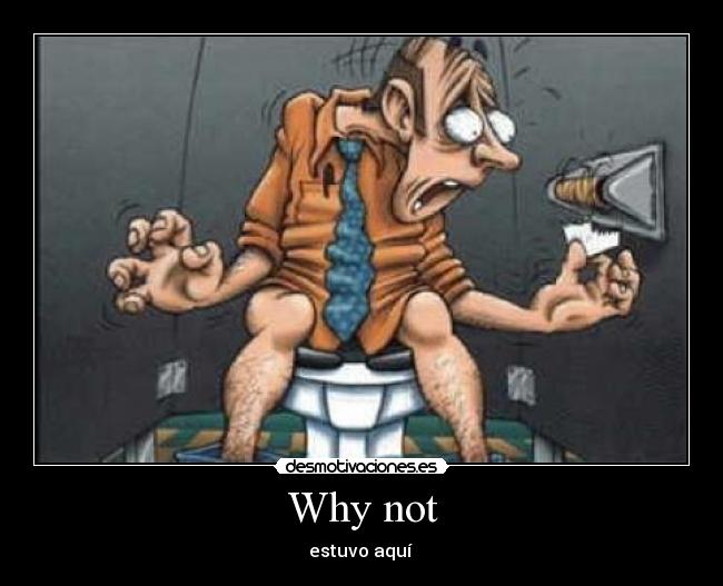 Why not - estuvo aquí