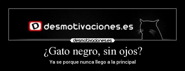 ¿Gato negro, sin ojos? - Ya se porque nunca llego a la principal