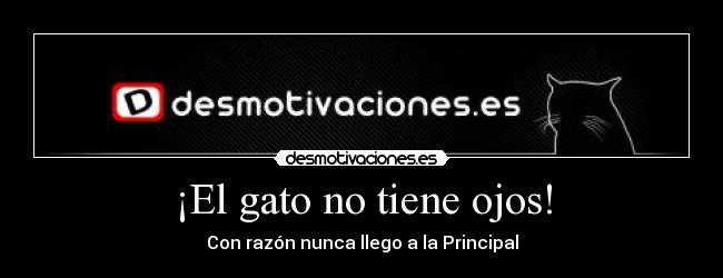 ¡El gato no tiene ojos! -