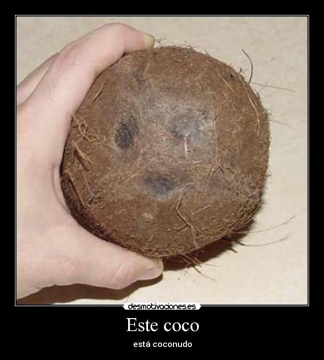 Este coco -