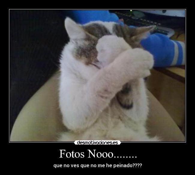 Fotos Nooo........ -