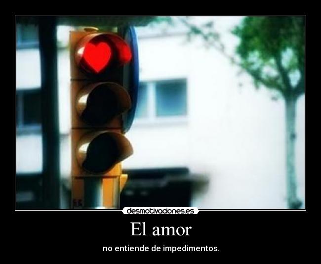 El amor - 