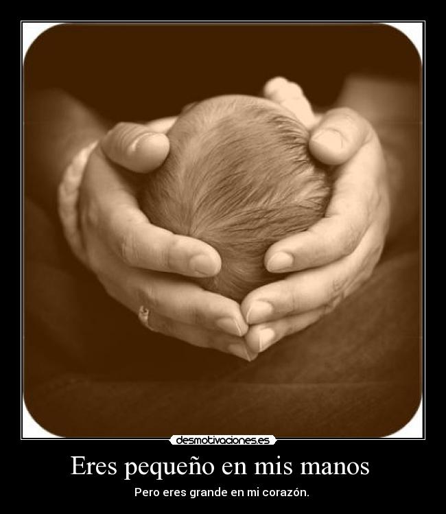 Eres pequeño en mis manos -