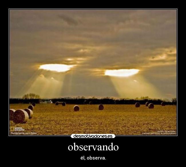 observando - 