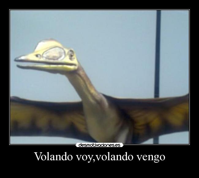 carteles volando desmotivaciones