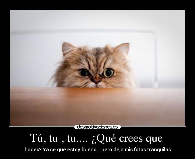 carteles desmotivaciones