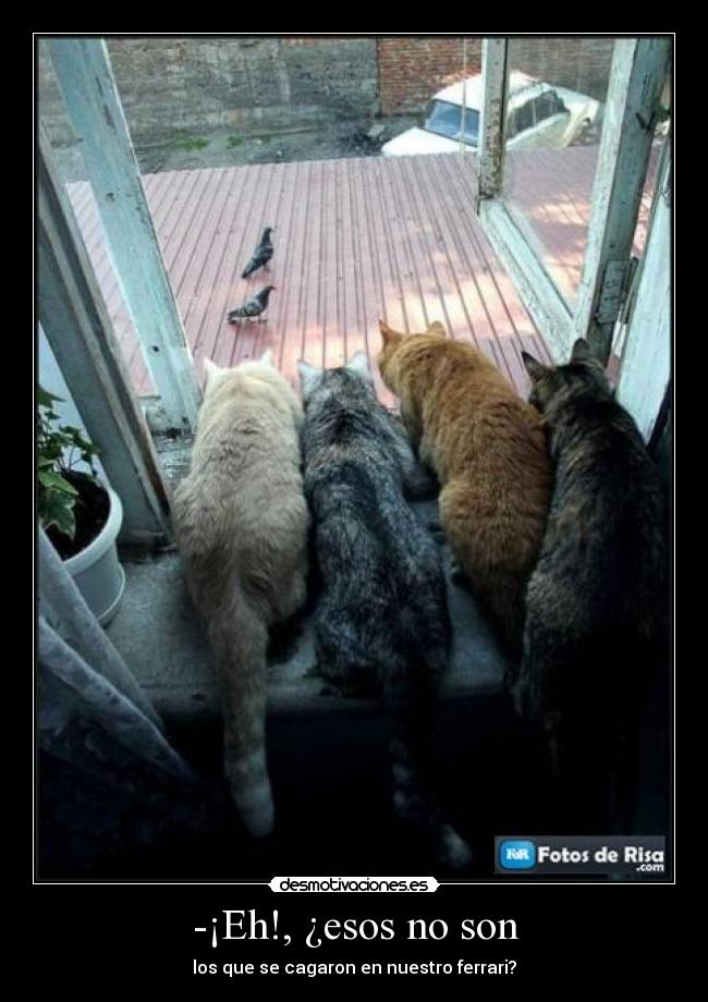 -¡Eh!, ¿esos no son - los que se cagaron en nuestro ferrari?