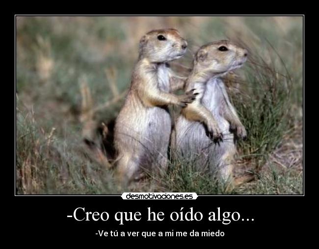 -Creo que he oído algo... - 