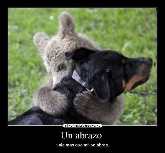 Un abrazo -