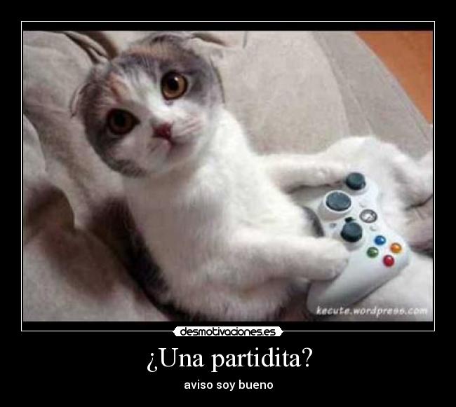 ¿Una partidita? - aviso soy bueno
