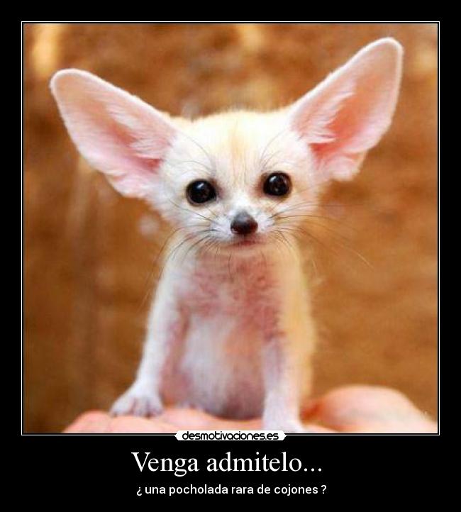 Venga admitelo...  - 