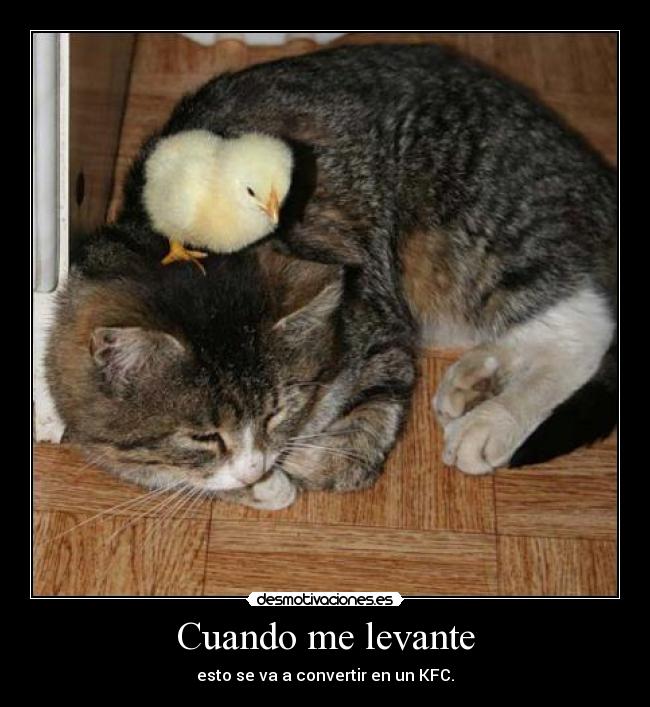 Cuando me levante -