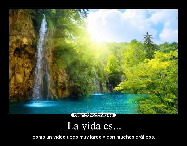 La vida es... - 