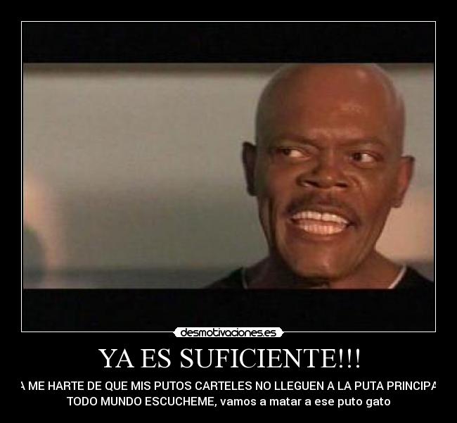 YA ES SUFICIENTE!!! - YA ME HARTE DE QUE MIS PUTOS CARTELES NO LLEGUEN A LA PUTA PRINCIPAL,
TODO MUNDO ESCUCHEME, vamos a matar a ese puto gato