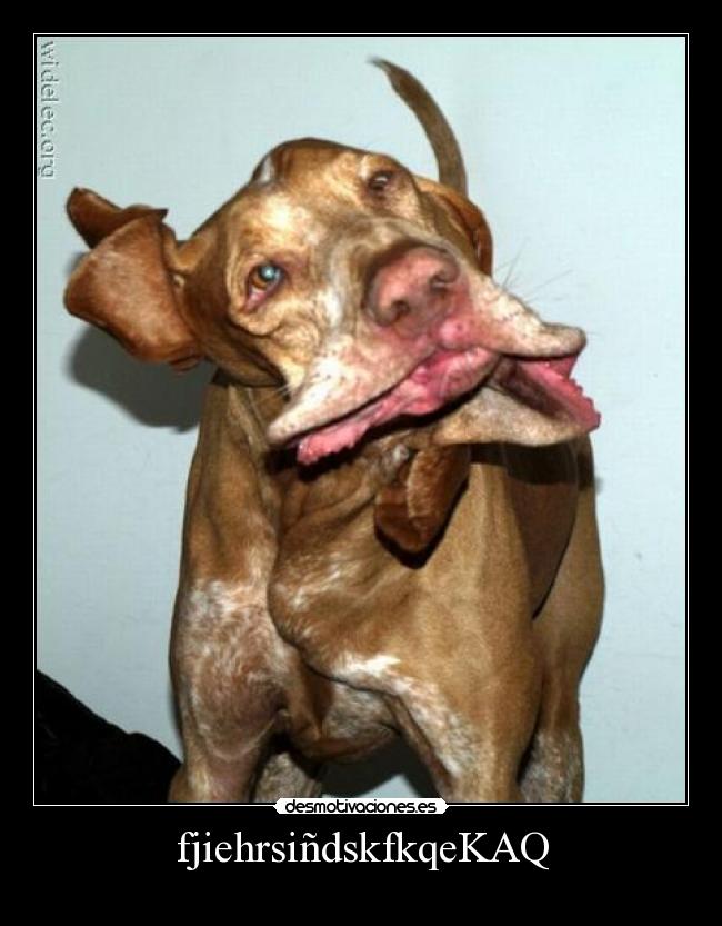 fjiehrsiñdskfkqeKAQ -