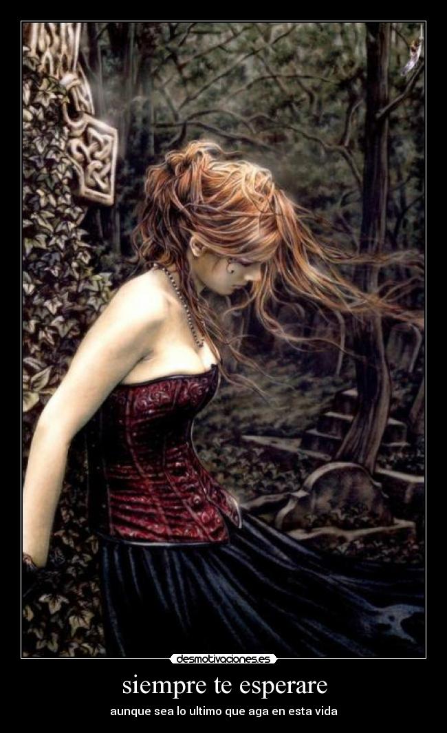 siempre te esperare -