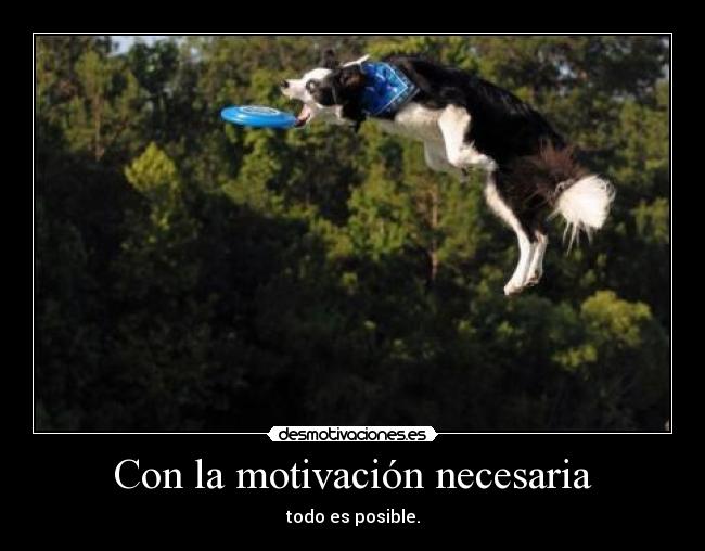 Con la motivación necesaria -