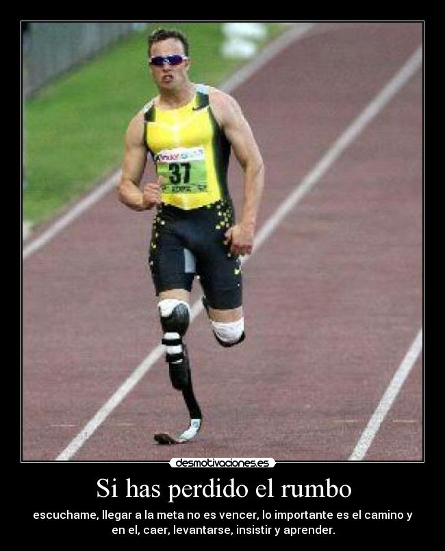 Si has perdido el rumbo - escuchame, llegar a la meta no es vencer, lo importante es el camino y
en el, caer, levantarse, insistir y aprender.