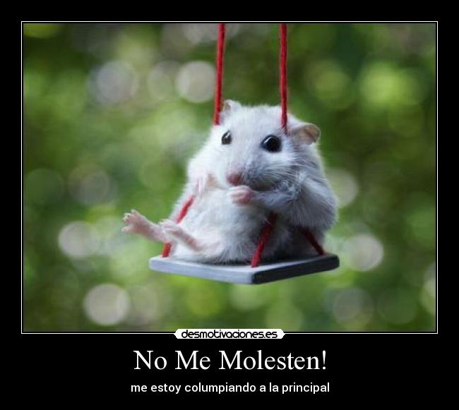No Me Molesten! - me estoy columpiando a la principal
