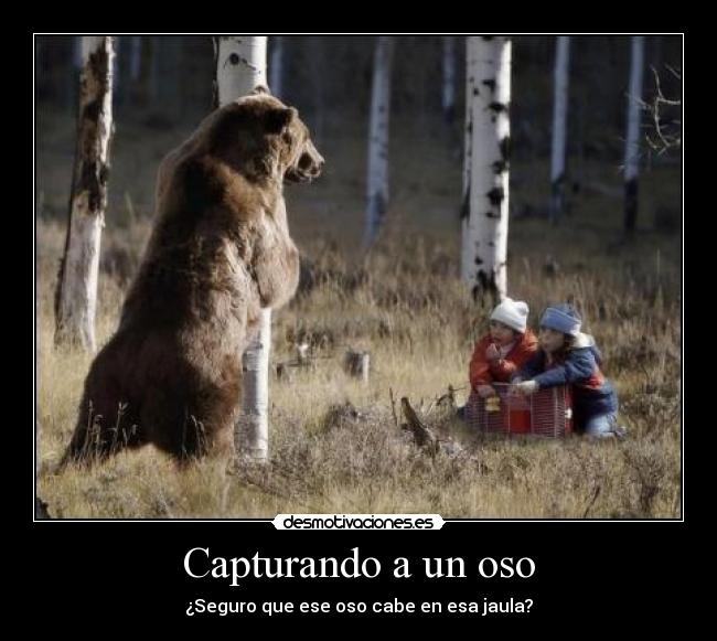 Capturando a un oso - ¿Seguro que ese oso cabe en esa jaula?