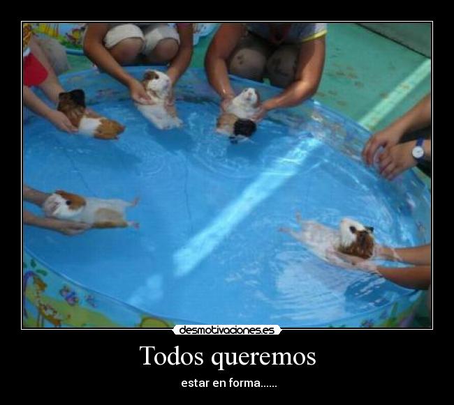 carteles todos desmotivaciones