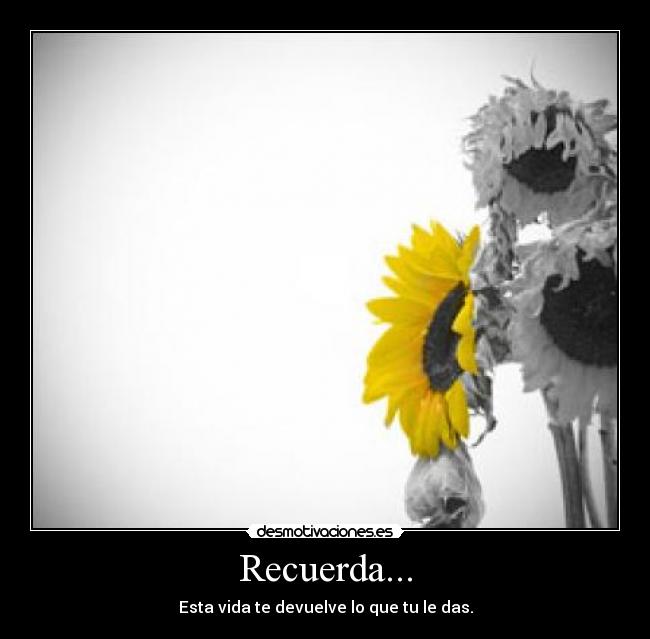 Recuerda... - Esta vida te devuelve lo que tu le das.