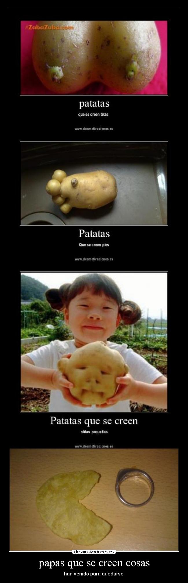 papas que se creen cosas - 