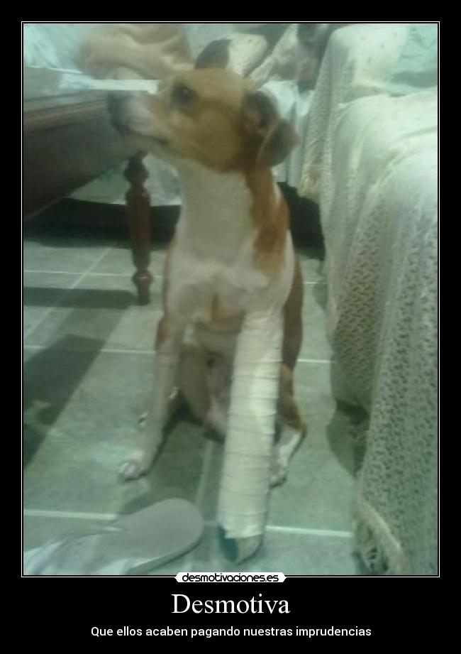 Desmotiva - Que ellos acaben pagando nuestras imprudencias