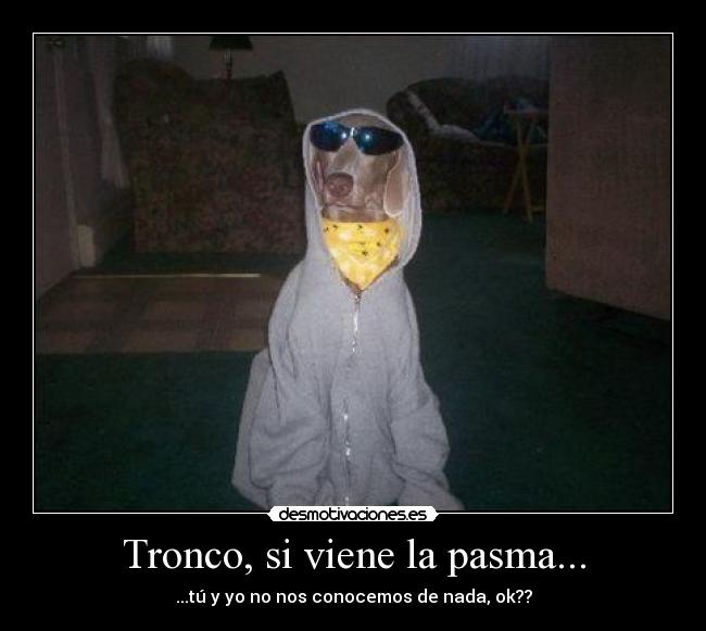 Tronco, si viene la pasma... - 