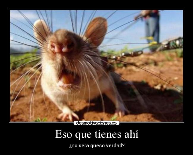 Eso que tienes ahí -