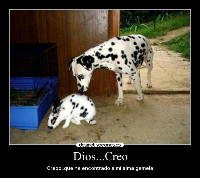 Dios...Creo - 
